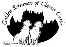 Golden Retrievers of Glamis Castle (Logo)